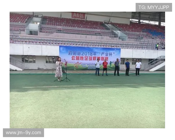 以泗阳县足球服为核心打造地域体育文化品牌发展路径探索新研究